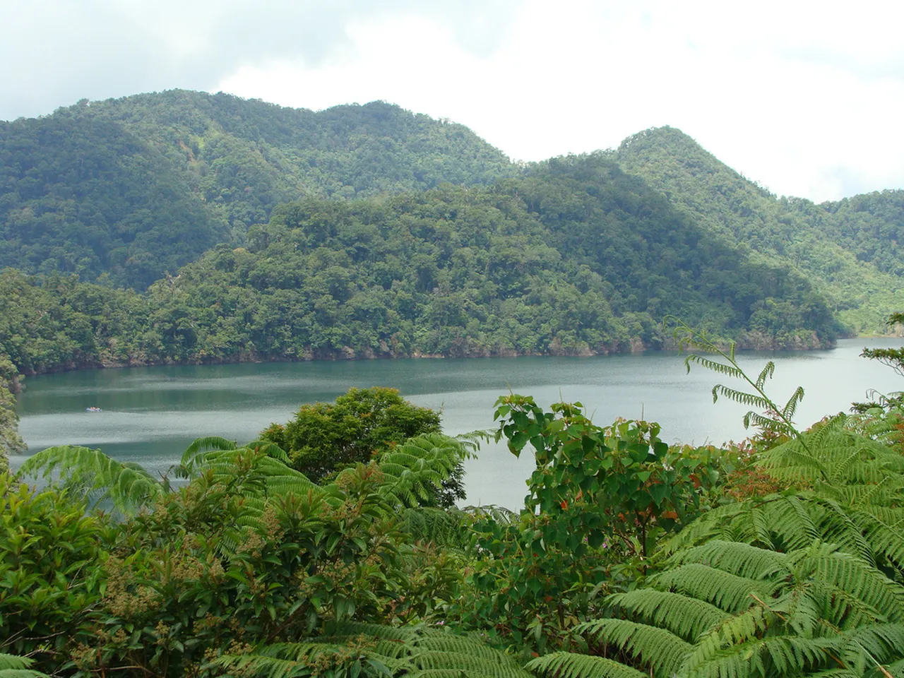Photo: rocker_jkb / CC BY 2.0, via Wikimedia Commons Balinsasayao Twin Lakes, a still crater lake ringed by dense rainforest in the hills above Negros Oriental