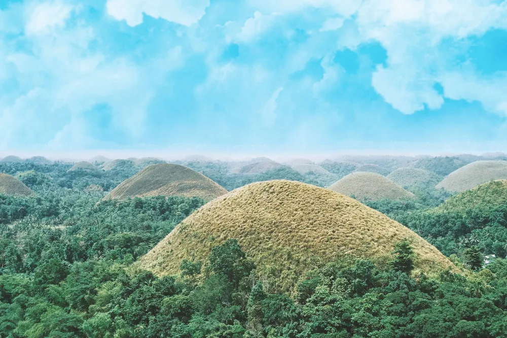 Grassy, cone-shaped Chocolate Hills rising out of green forest under a blue sky