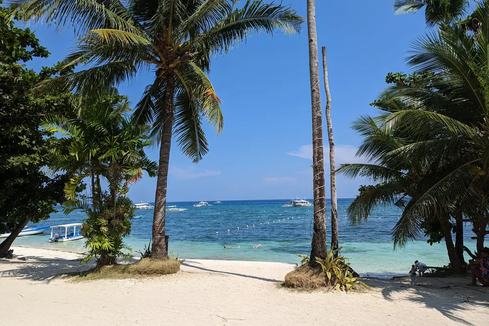 Palm-fringed white sand beach and turquoise water on Panglao Island, Bohol
